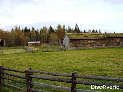 ����� �����������