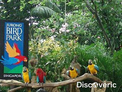 ���� ����