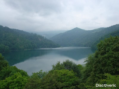 ����������� ������������ ����