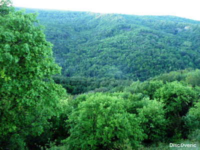 ������������ ��������������� ����������