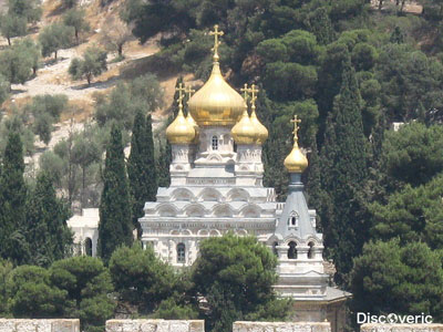 ���� ����� ���������