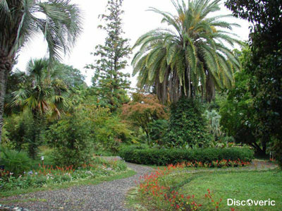 ��� ������