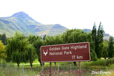 ������������ ���� ������ ���� ��������